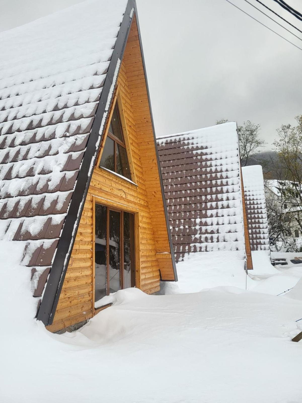 Villa Brvnare Todorovic à Crni Vrh Extérieur photo