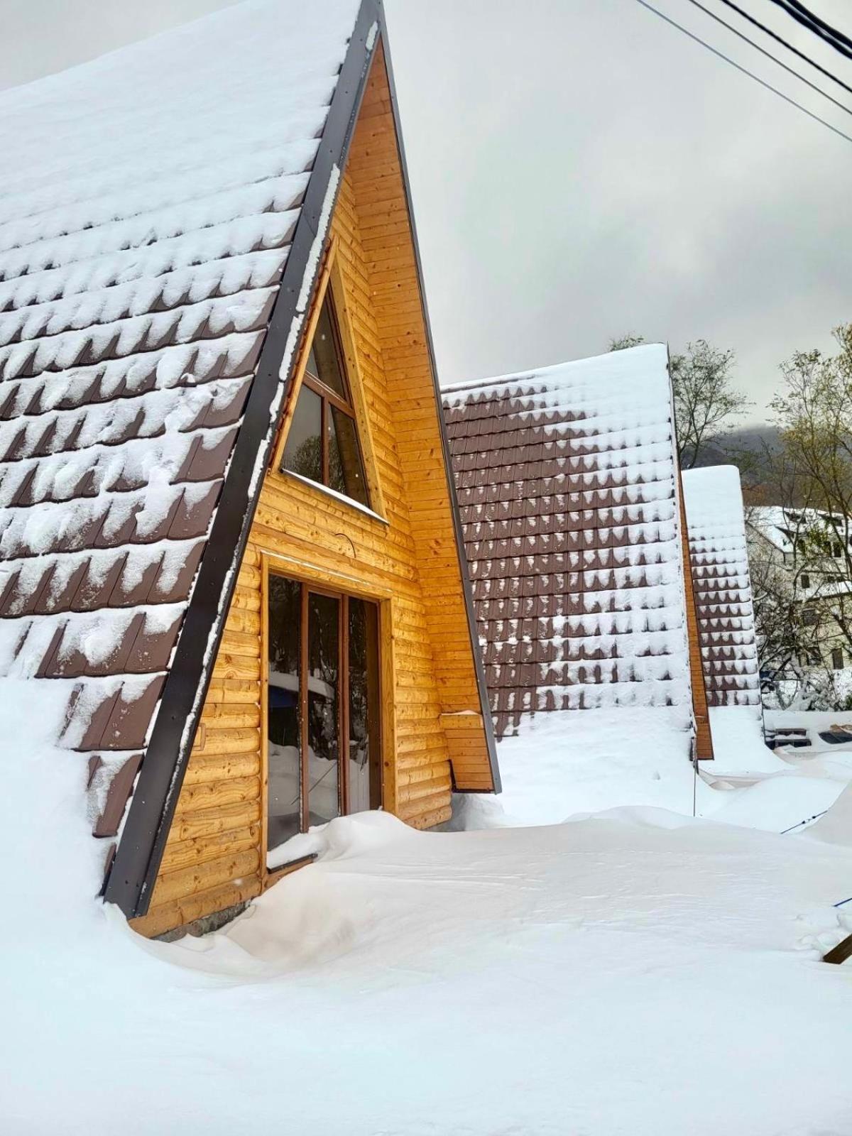 Villa Brvnare Todorovic à Crni Vrh Extérieur photo